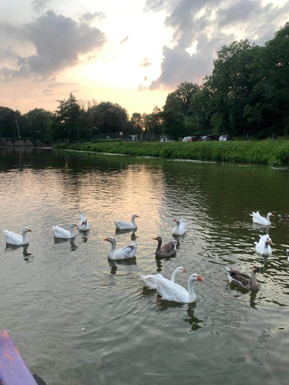 Nuit Insolite A Bord D'Une Peniche, 6 Personnes Bergues Zewnętrze zdjęcie